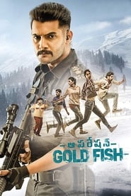 Operation Gold Fish